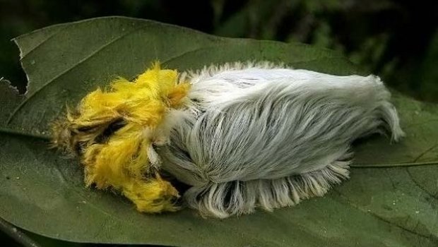 Программы для Записи Треков